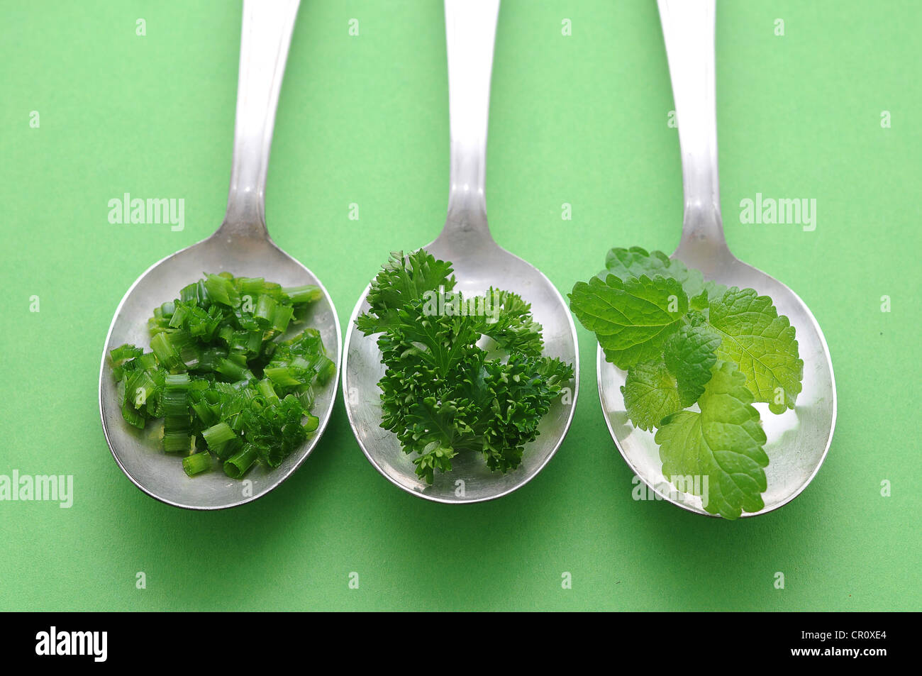Fresh herbs, parsley, chives, mint, on old spoons Stock Photo