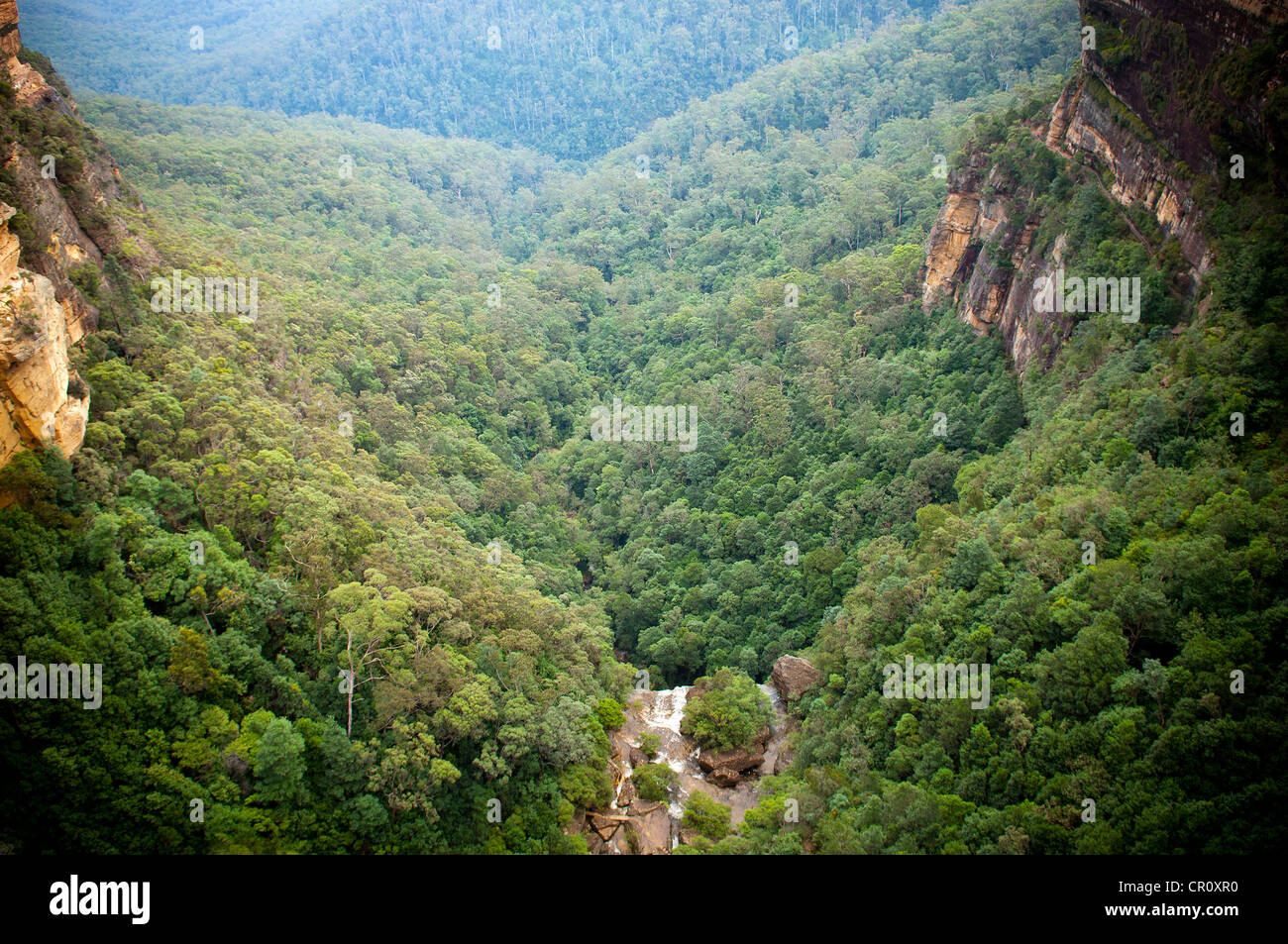 Waterfall flows into valley below with thick forest Stock Photo