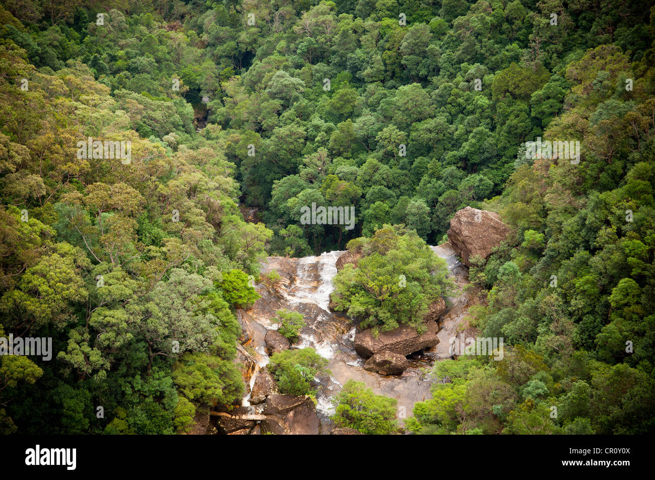 Waterfall flows into valley below with thick forest Stock Photo