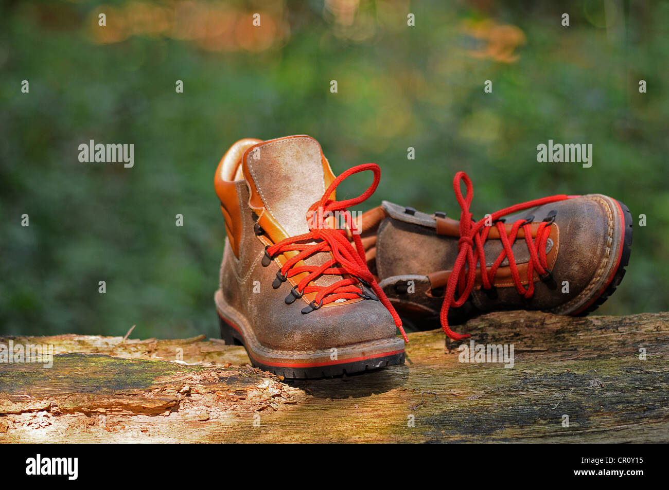 Hiking shoes in the forest Stock Photo Alamy