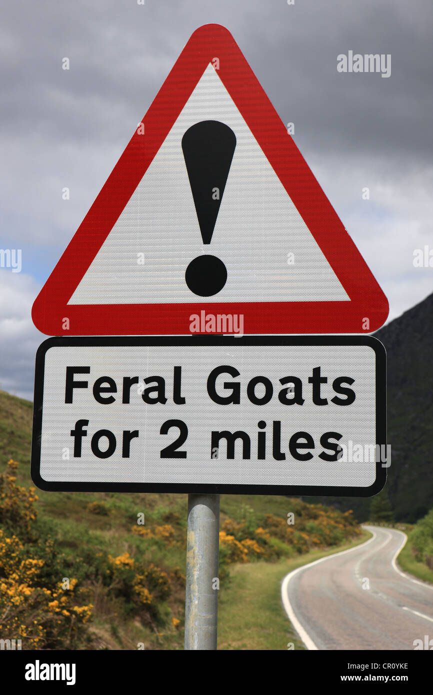 Warning that feral goats may be on the road in the highlands of Scotland Stock Photo