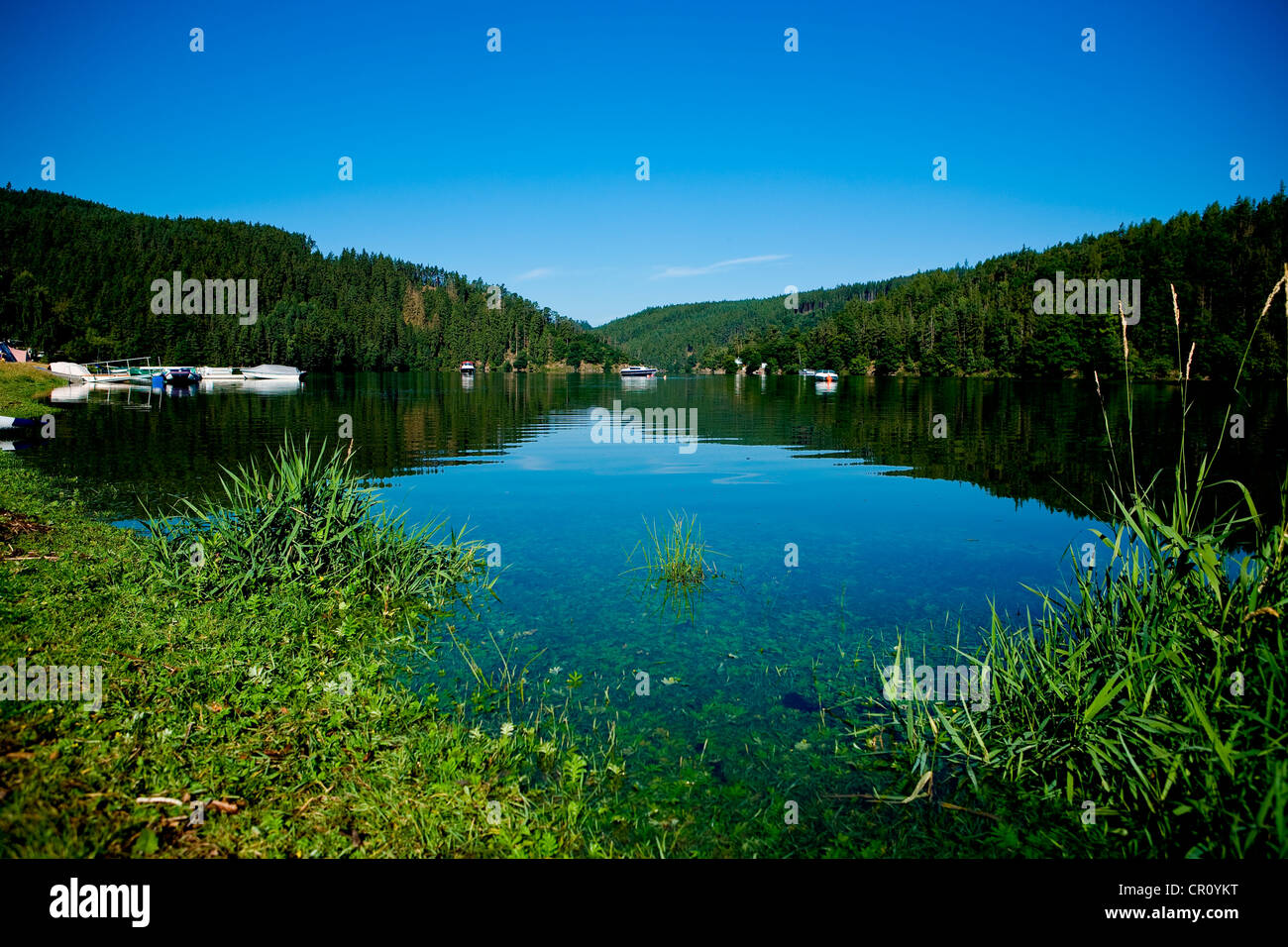 Hohenwarte storage lake, Thuringia, Germany, Europe Stock Photo