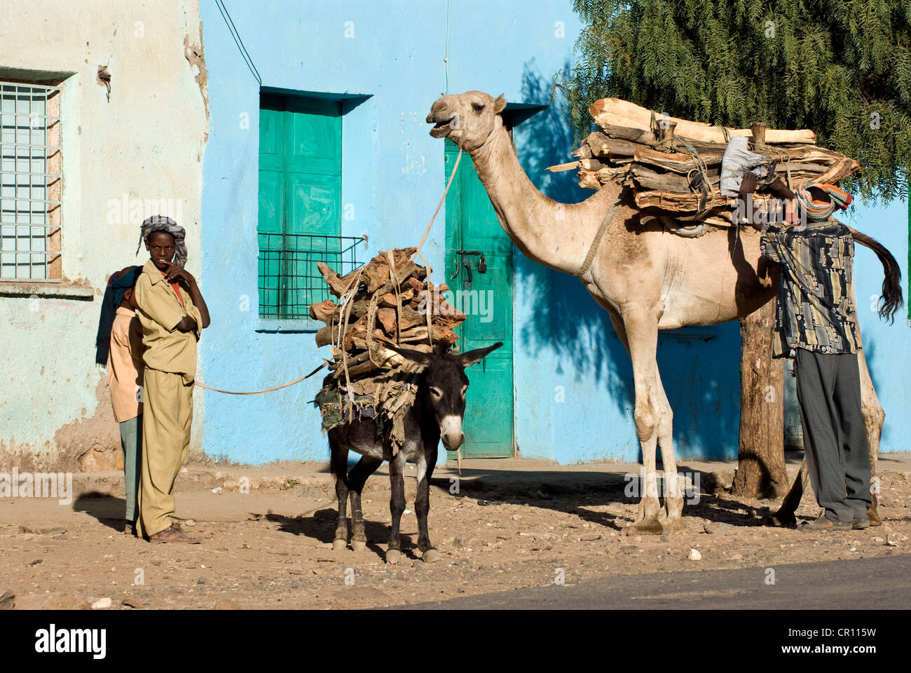 Ethiopia, Tigray Region, city of Axum Stock Photo