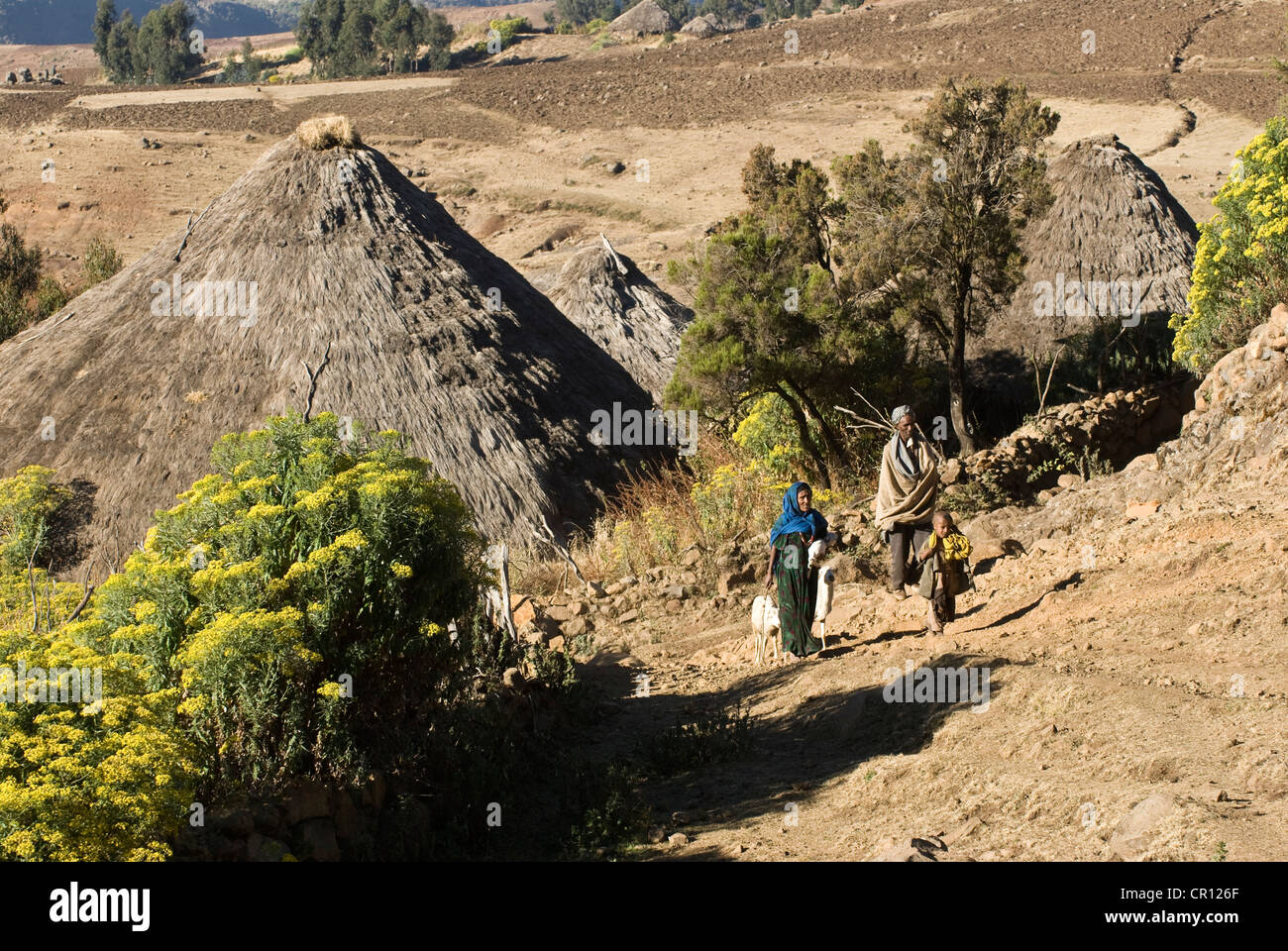 Ethiopia, Simien National Park, UNESCO World Heritage, village ...