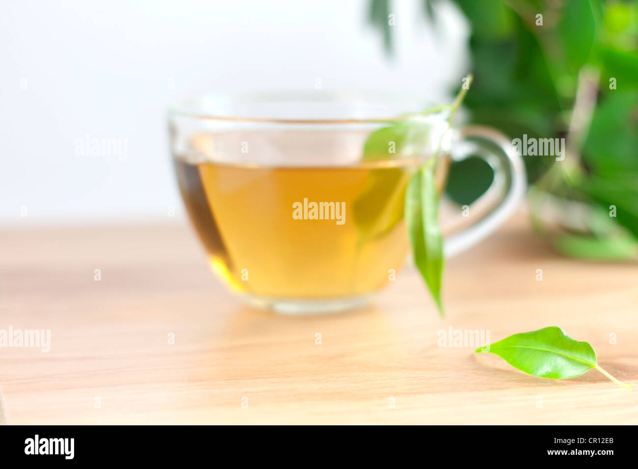 Green tea abstract blur background with leaves Stock Photo - Alamy