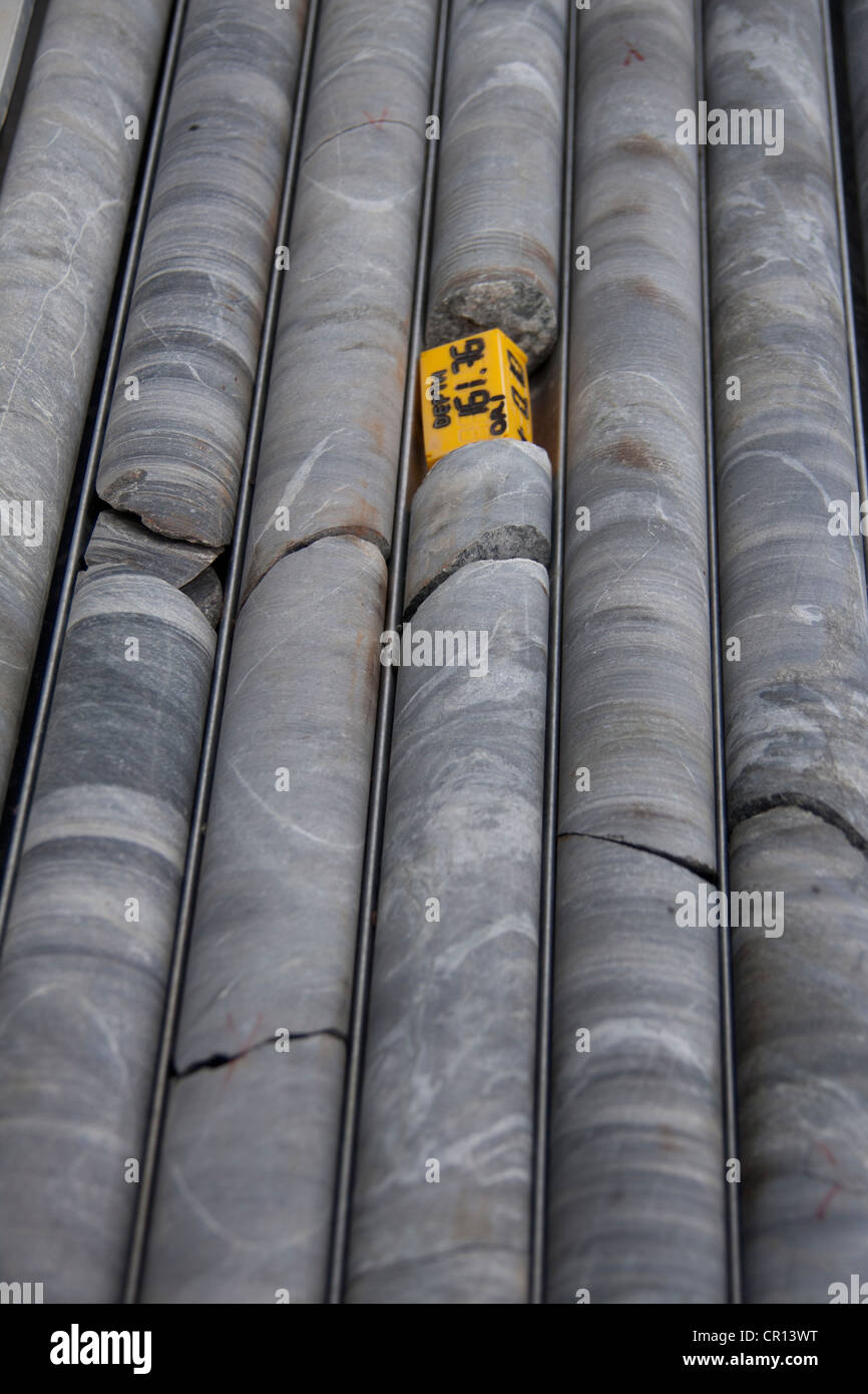 Diamond Drill Core Lined Up During Exploration Drilling Campaign Stock Photo Alamy