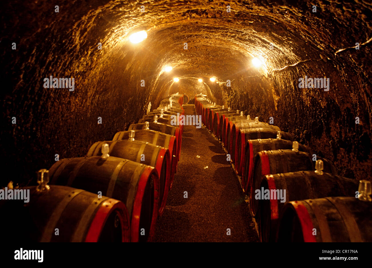 Hungary, Tokay (Tokaji), Dusoczky Wine producing domain, cellar and barrels Stock Photo