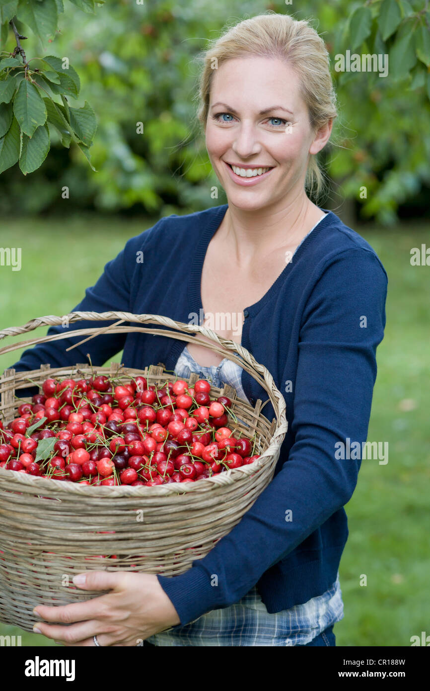 Cherry Picker Fruit High Resolution Stock Photography and Images Alamy