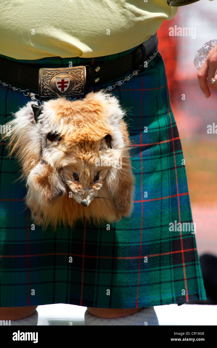 Man in a kilt with sporran Scottish Festival and Highland games Stock Photo