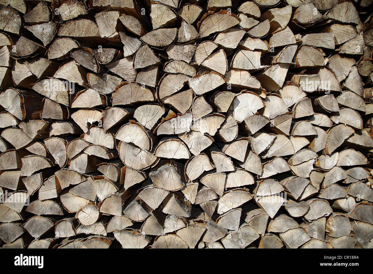 Beechwood firewood piled up Stock Photo