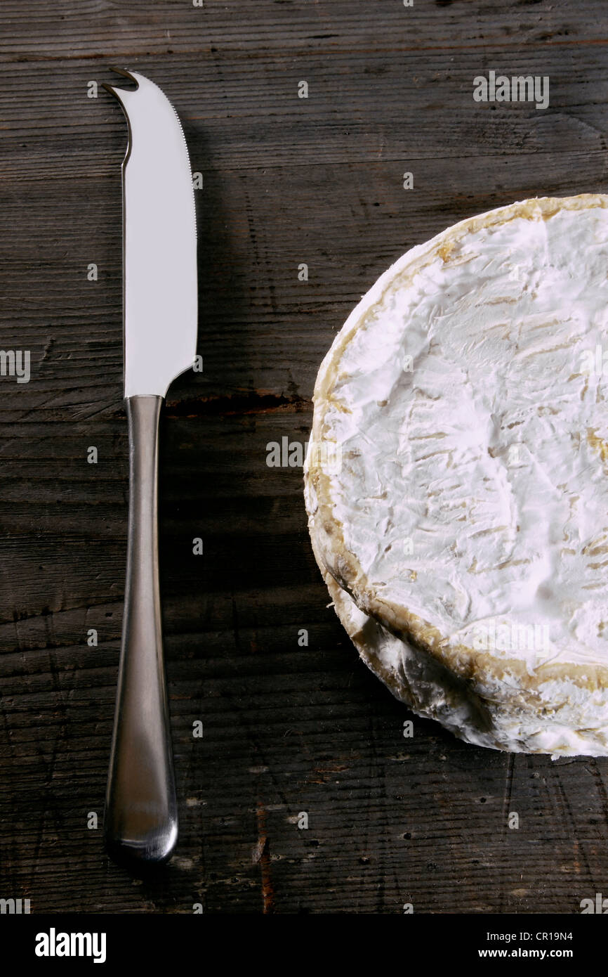 Camembert with a cheese knife on a rustic wooden surface Stock Photo