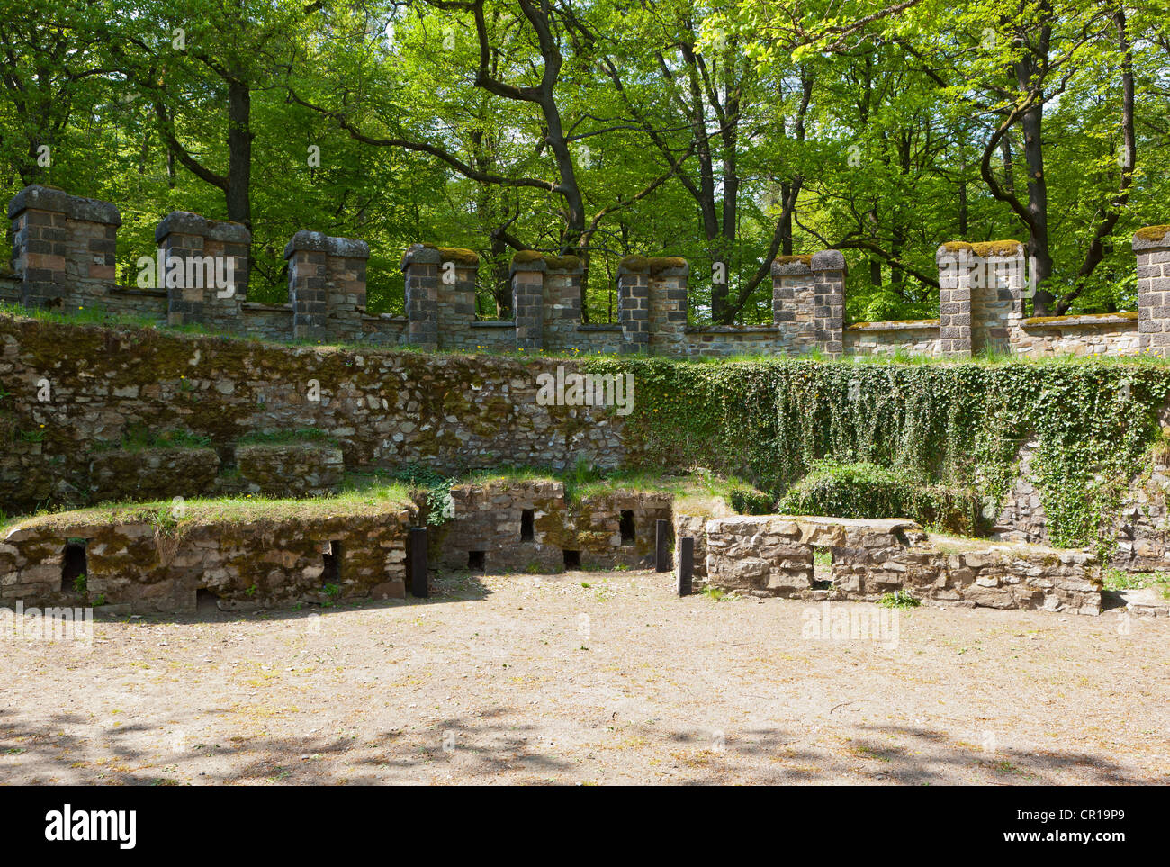 Reconstructed Saalburg Roman fort, Limes, UNESCO World Heritage Site, Taunus region, Hesse