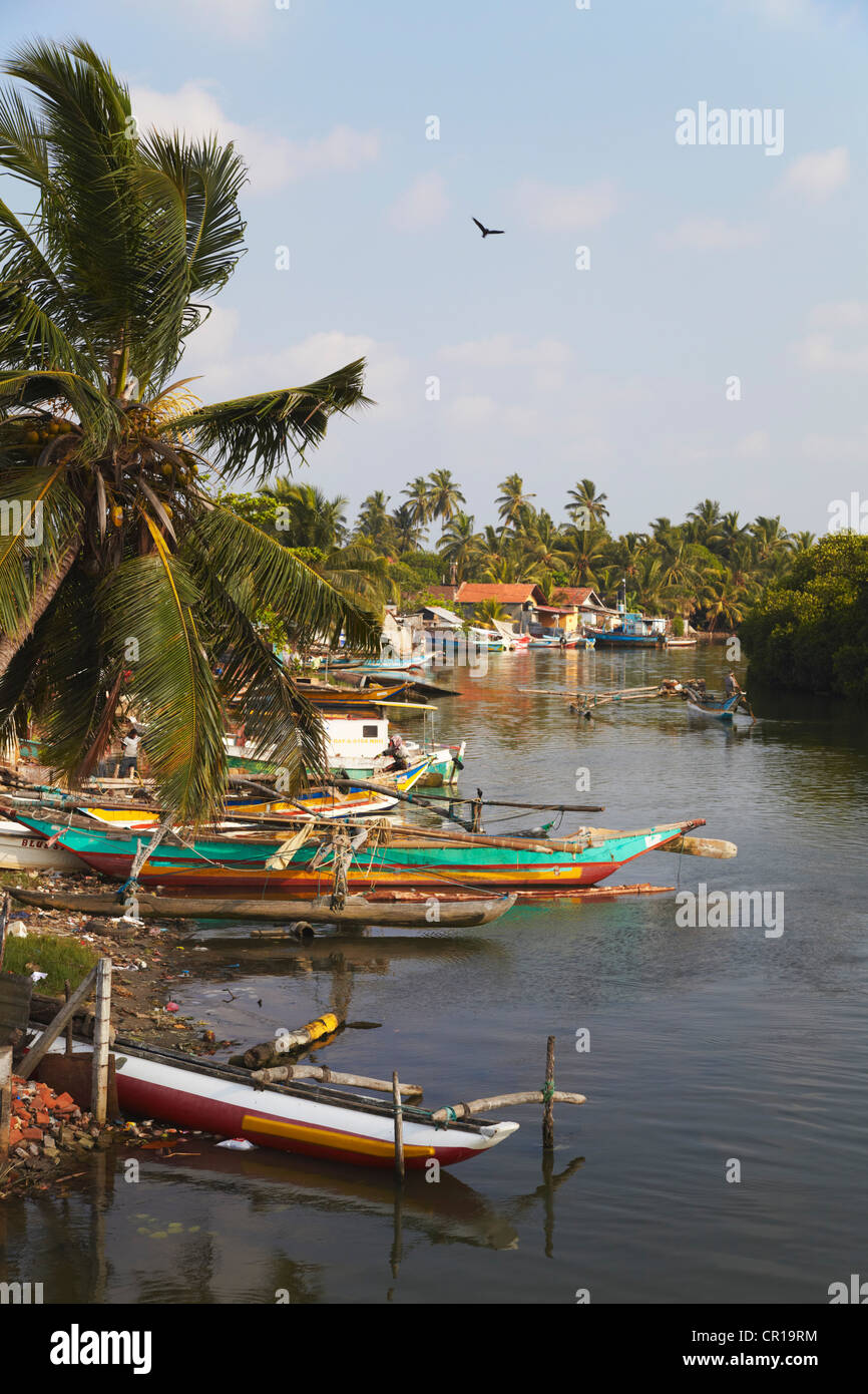 Boats In Negombo Lagoon, Negombo, Western Province, Sri Lanka Stock Photo - Alamy