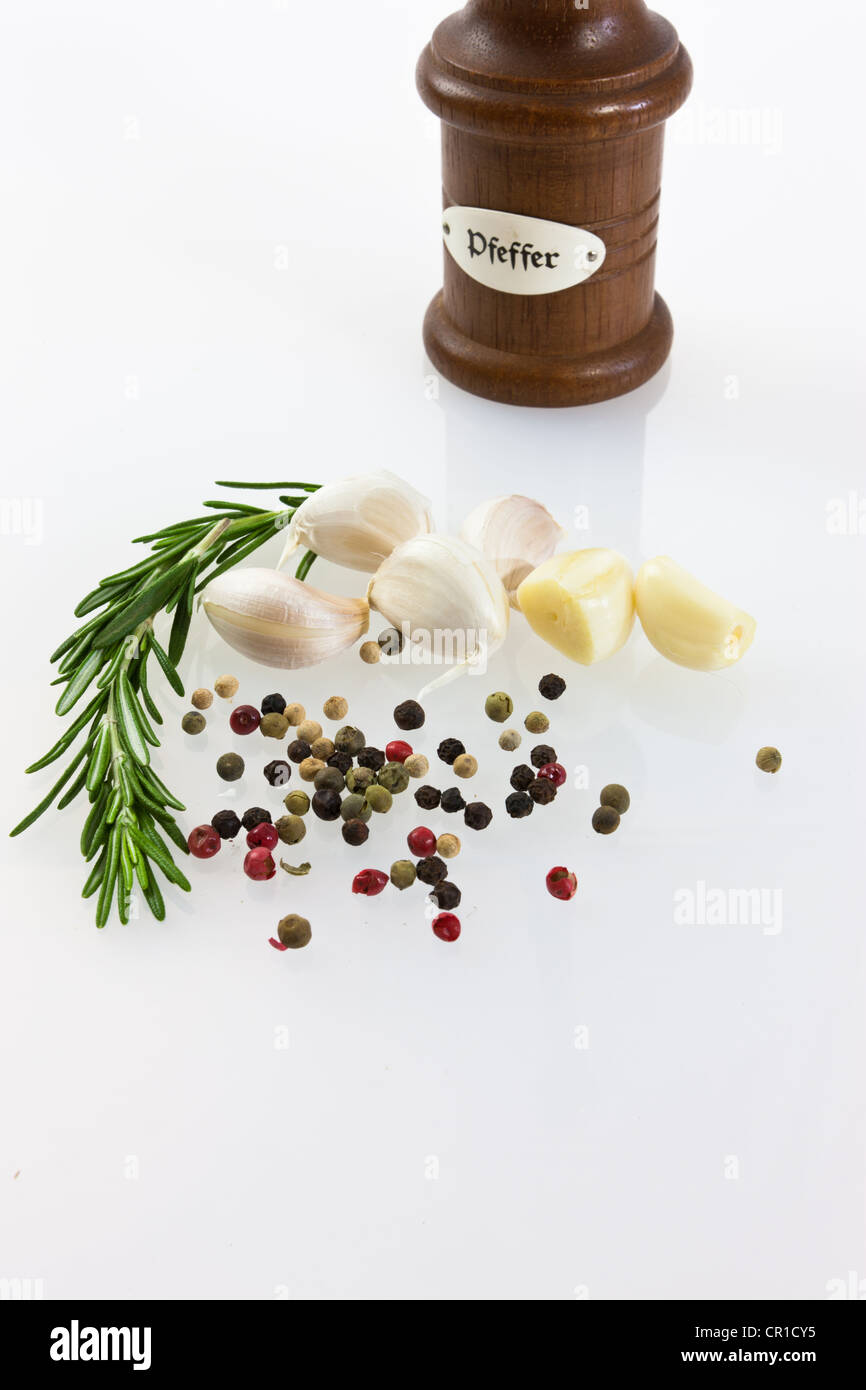 Garlic (Allium sativum) with pepper mill, fresh rosemary, black and red