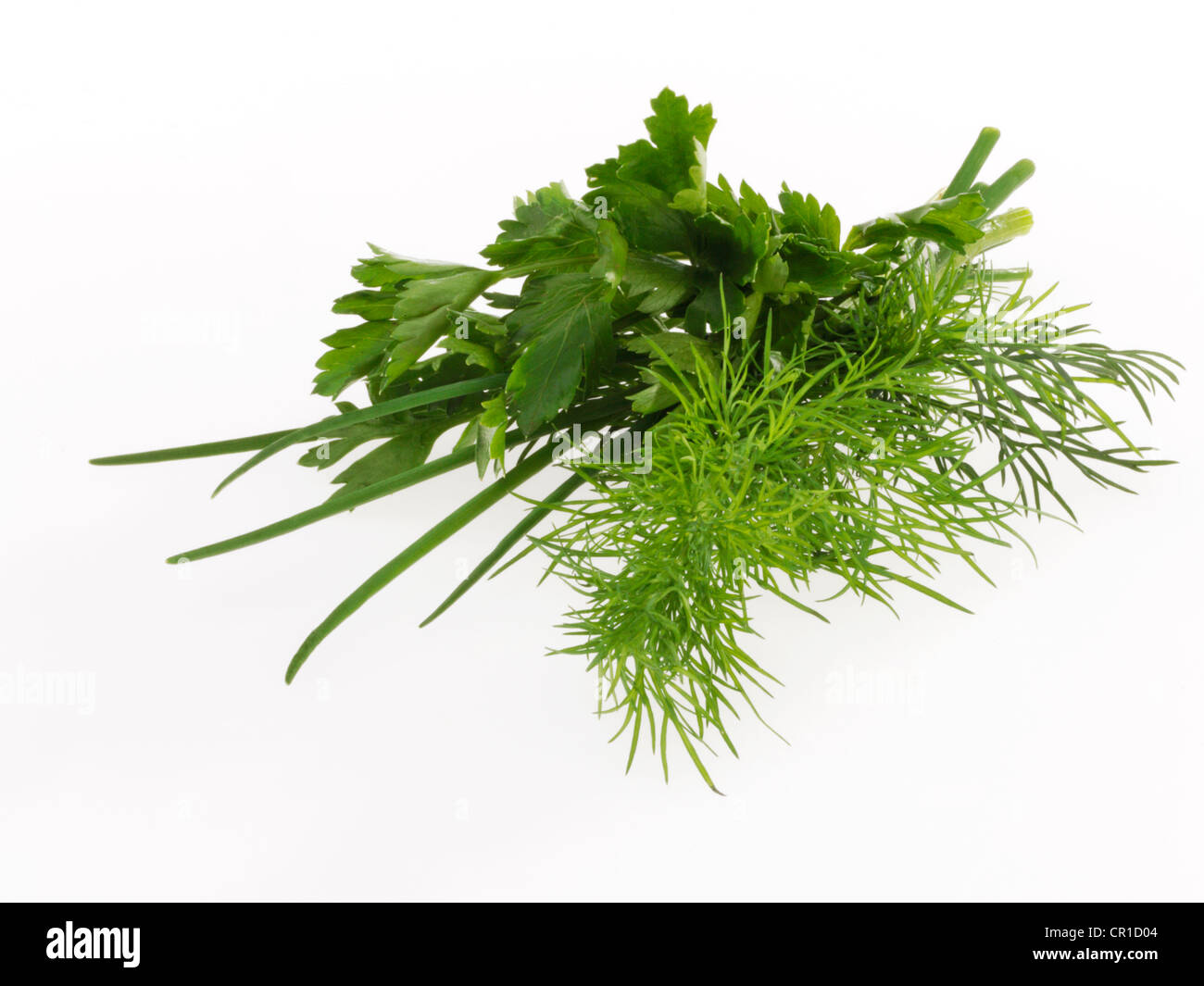 Herbs, chives, dill, parsley Stock Photo