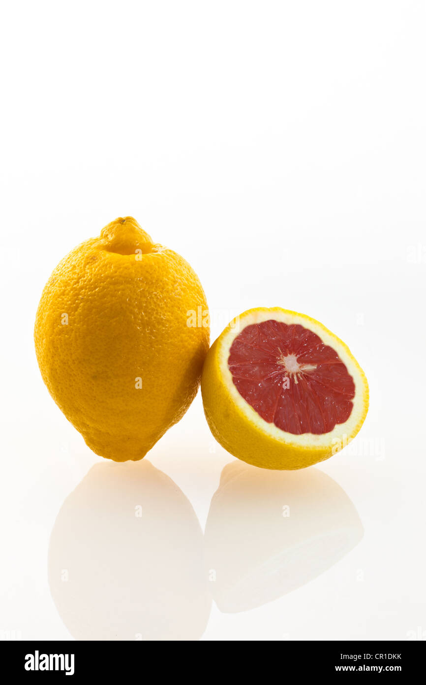 Manipulations genes hires stock photography and images Alamy