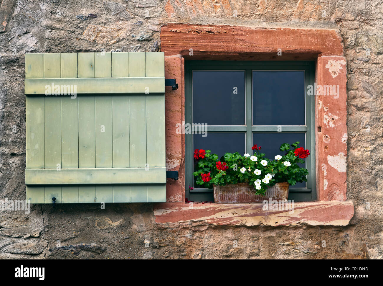 Window with shutters and geraniums, Eberbach, Hesse, Germany, Europe