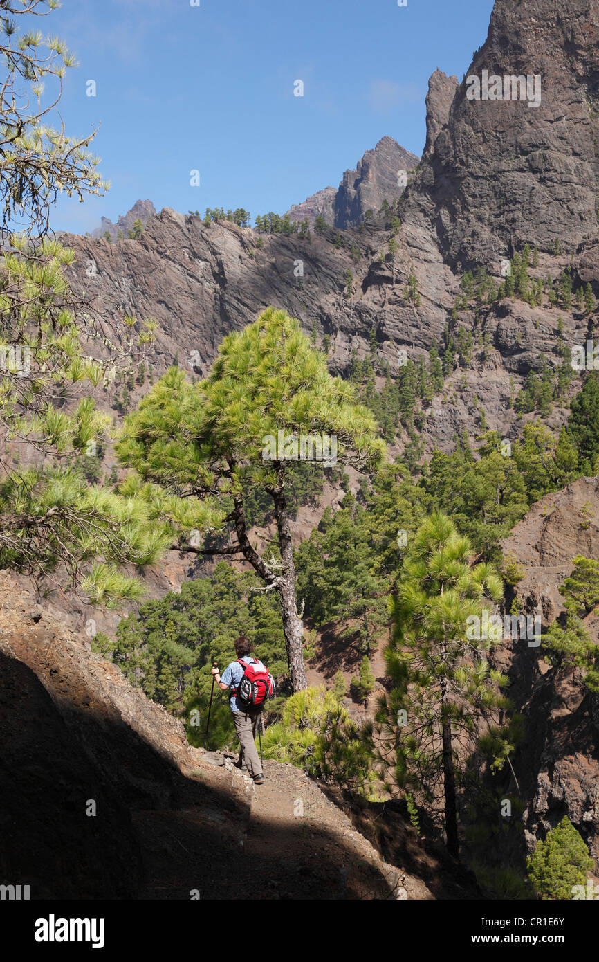Woman hiking on trail in the Caldera de Taburiente National Park, La Palma, Canary Islands, Spain, Europe Stock Photo
