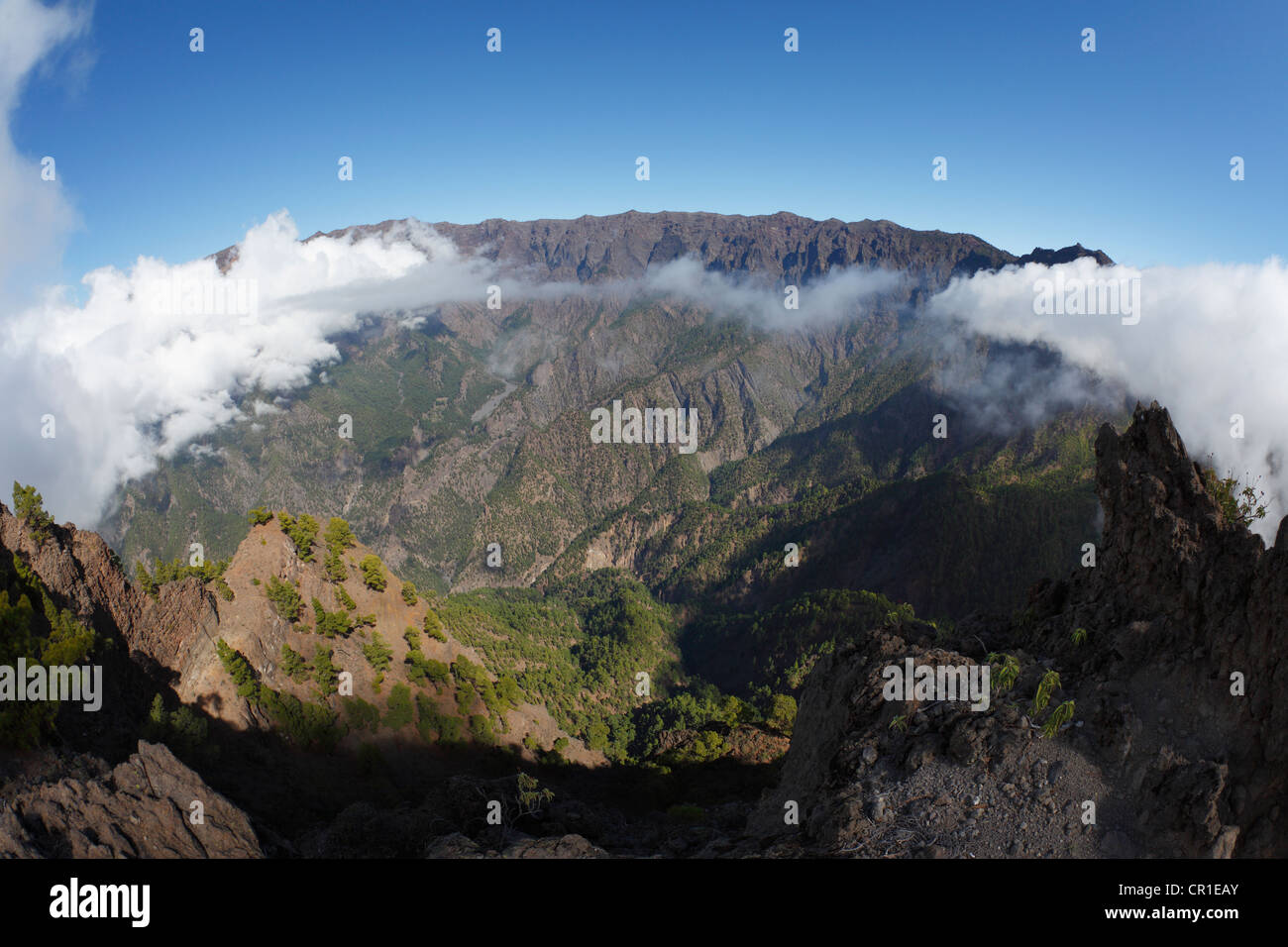 Caldera de Taburiente National Park, view from Pico Bejenado, La Palma