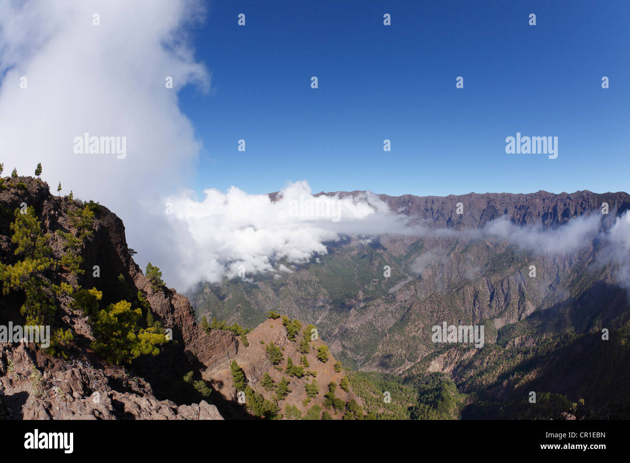 Pico Bejenado, Caldera de Taburiente National Park, La Palma, Canary