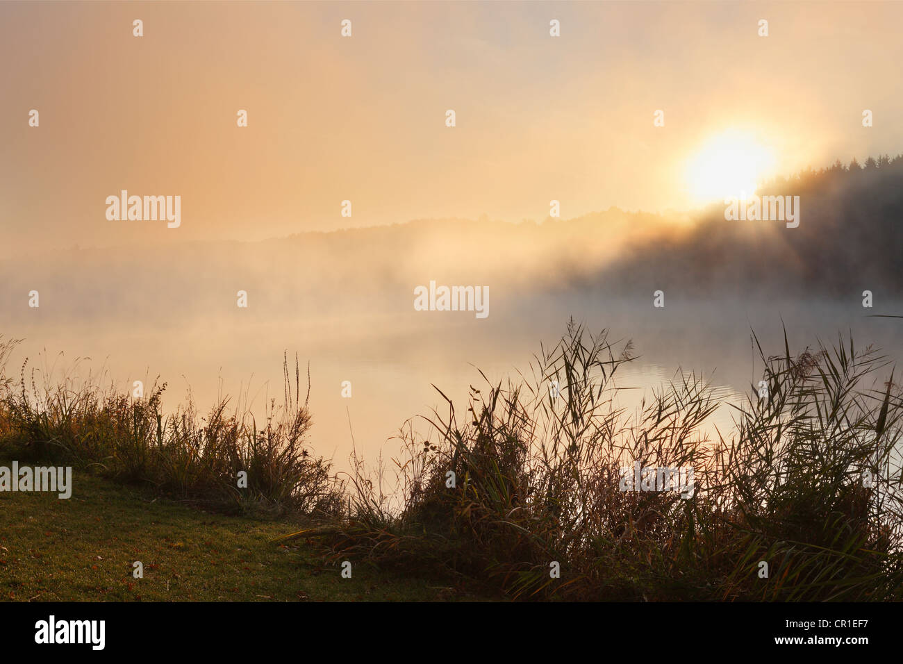 Sunrise at Lake Ellertshaeuser, Stadtlauringen, Schweinfurter Land district, Lower Franconia, Franconia, Bavaria Stock Photo