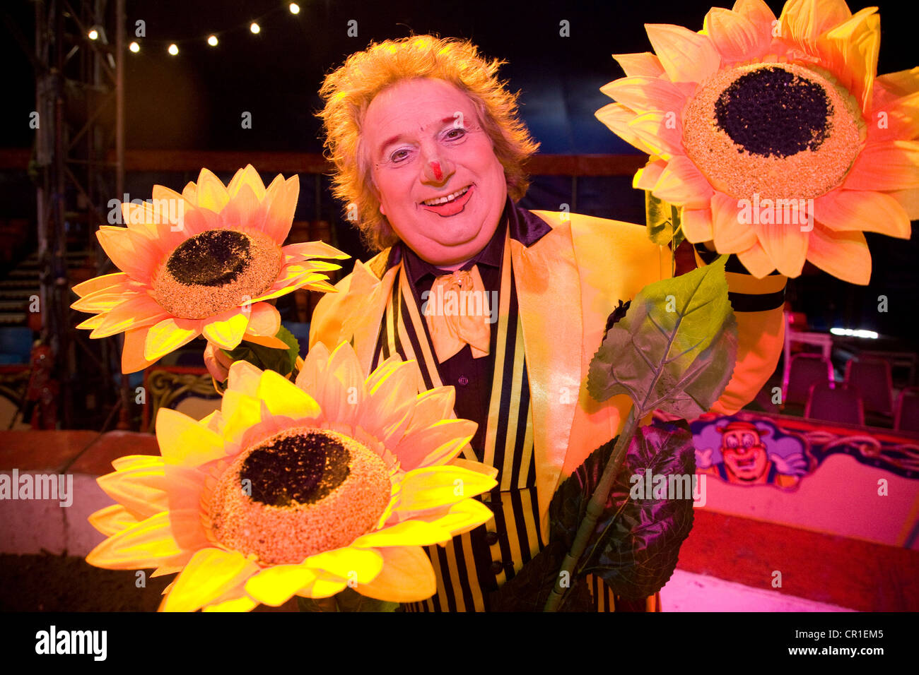 Circus clown and giant fake sunflowers Stock Photo Alamy
