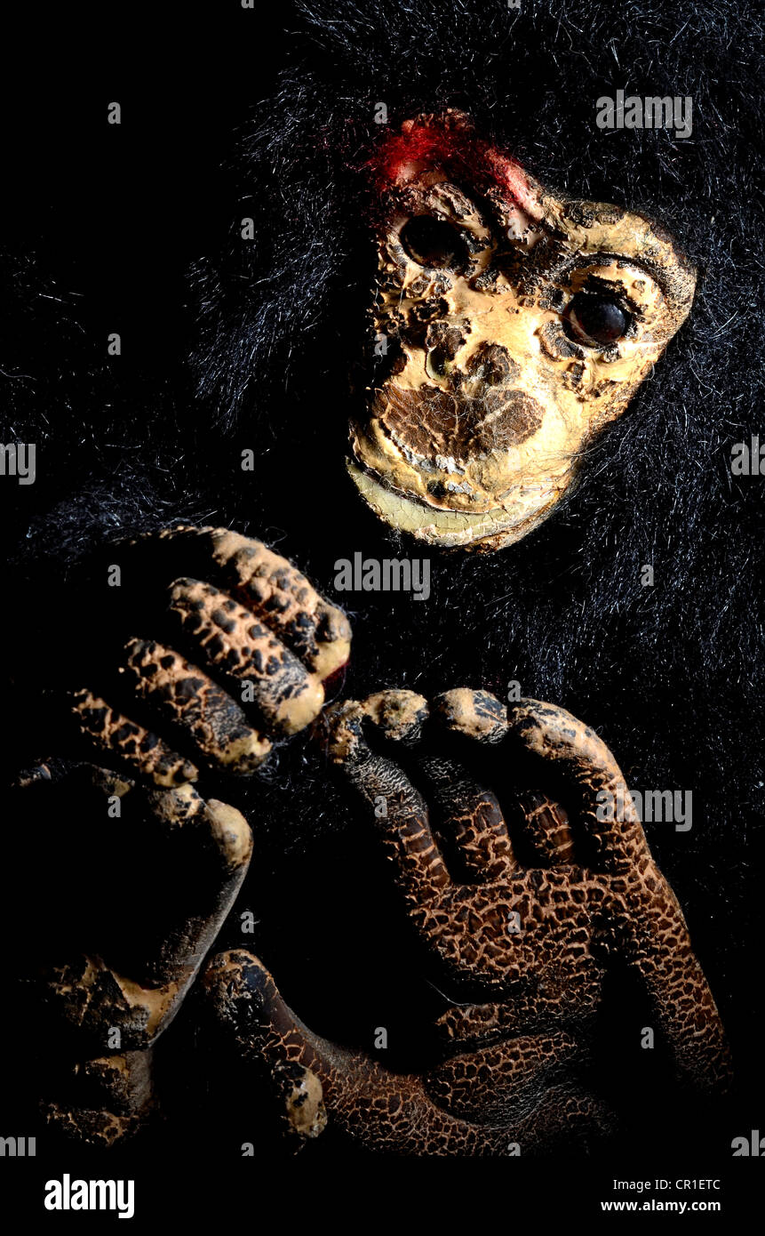 Chimpanzee soft toy Stock Photo