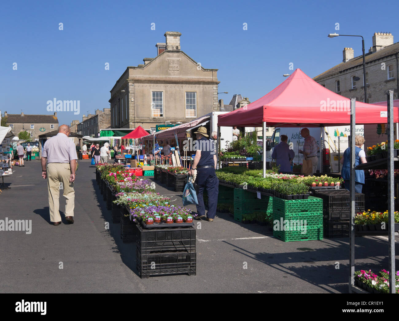 Market day at Leyburn, North Yorkshire. The plant stall in springtime. The market is held weekly on Fridays. Stock Photo