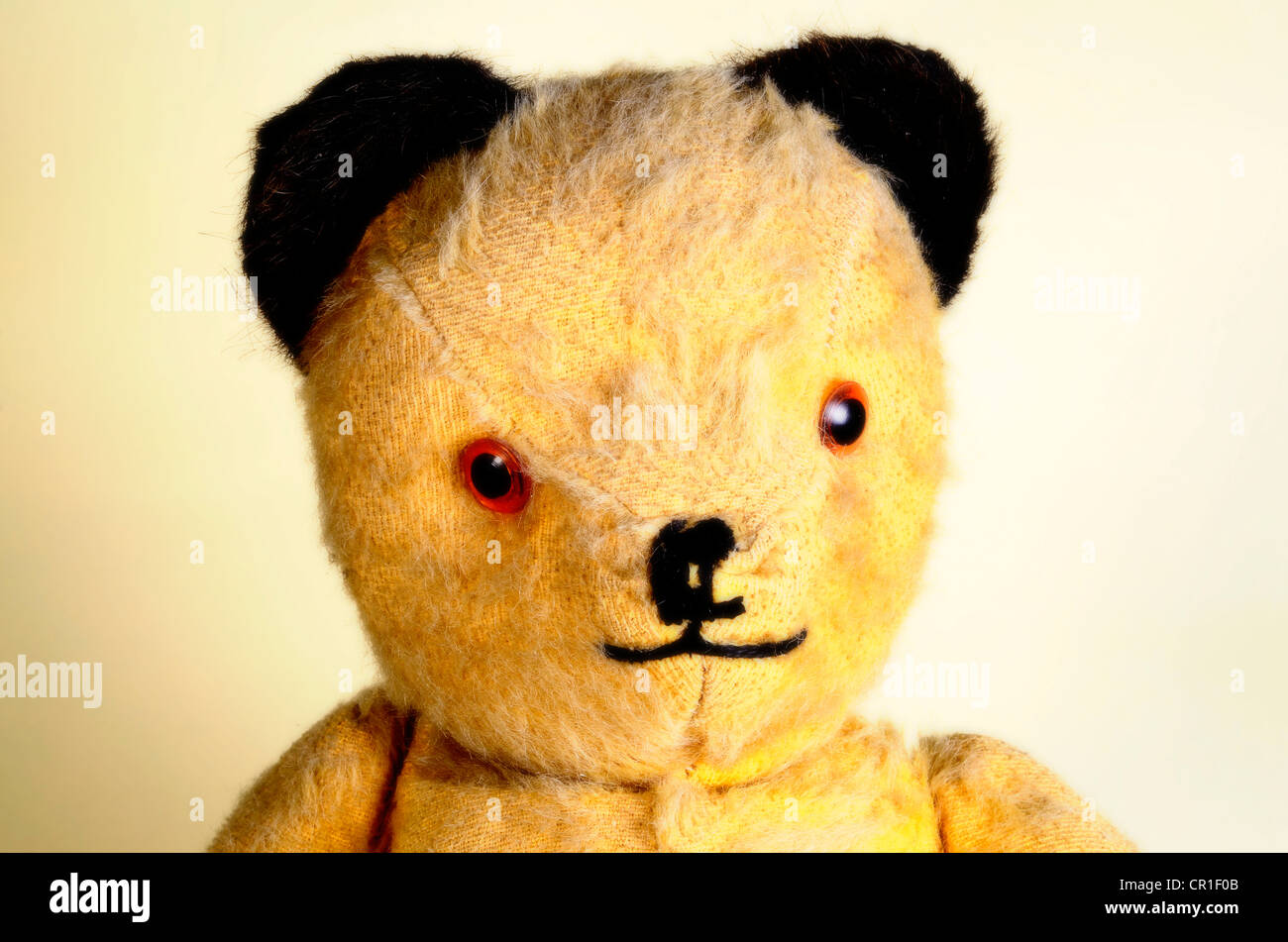 Old teddy bear Stock Photo