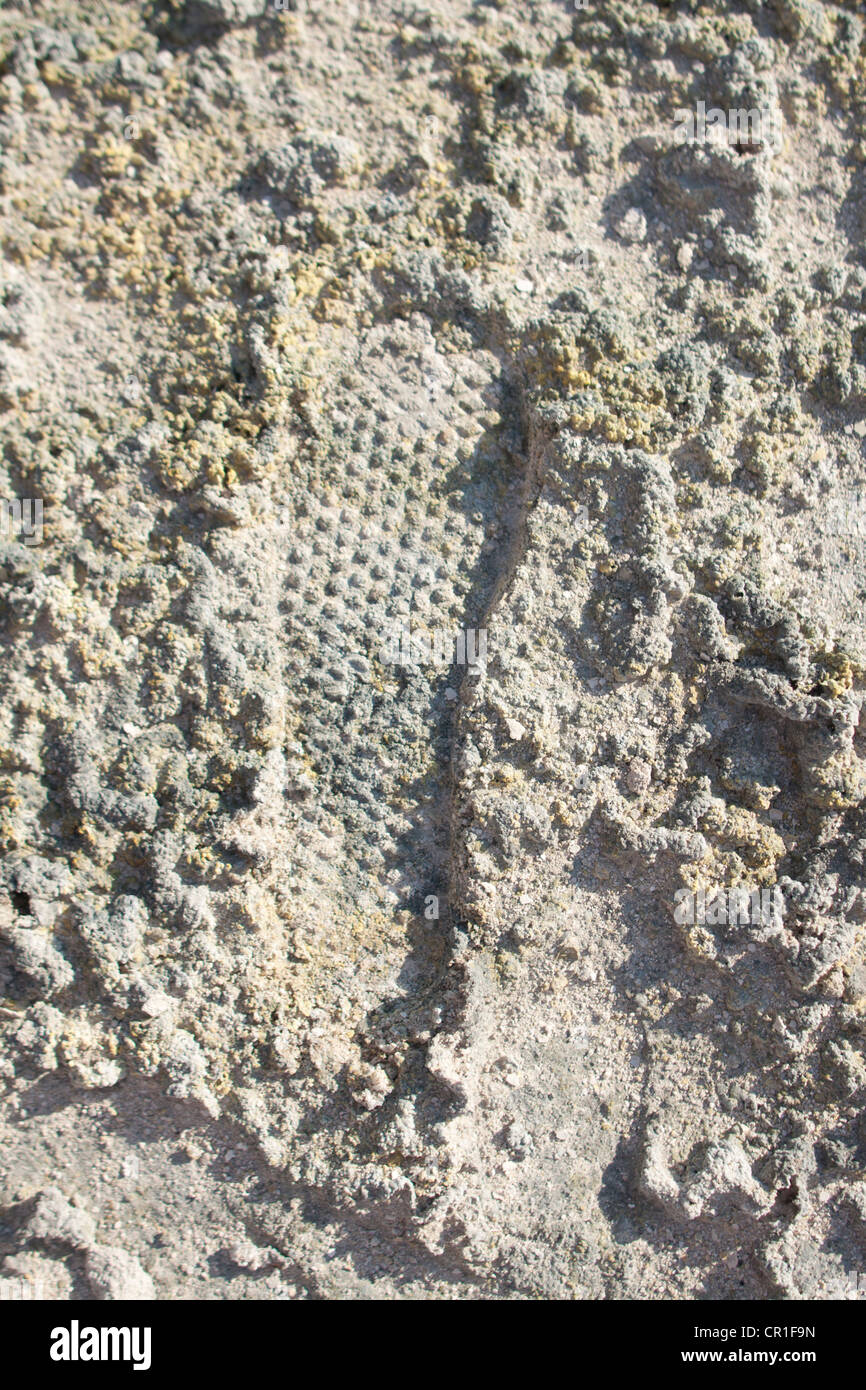 Footprint in volcanic dust Stock Photo Alamy