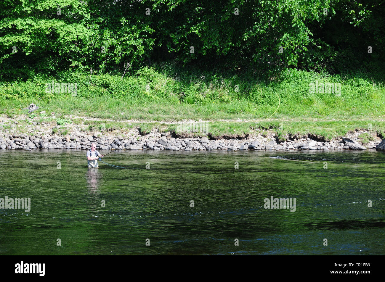 Fisherman fly fishing on the River Tummel downstream from the dam at