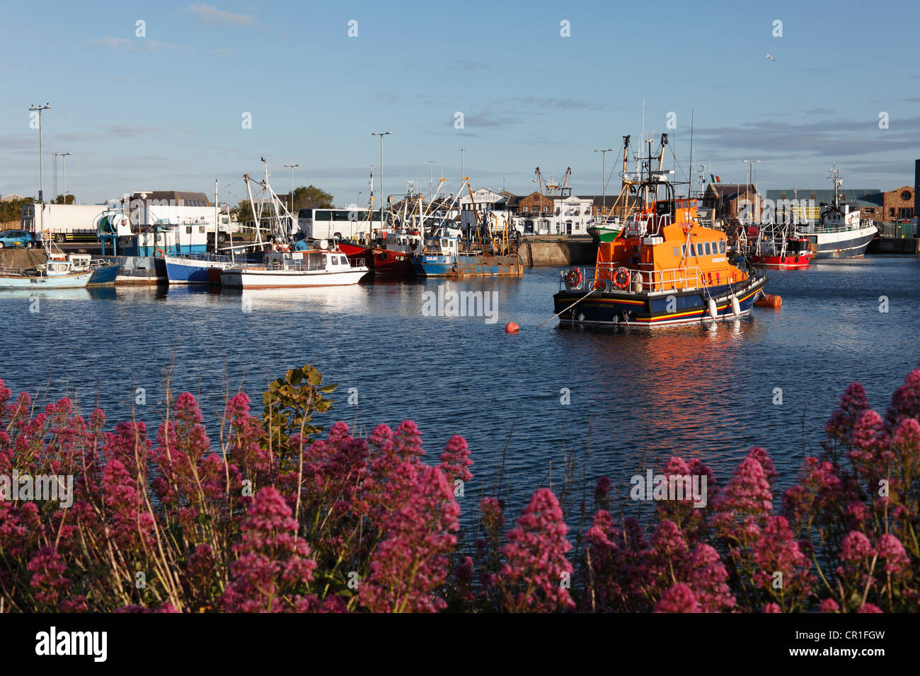 Fishing port of Howth, near Dublin, County Fingal, Leinster, Ireland