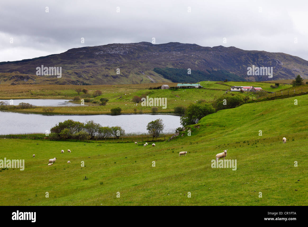 Landscape at Fintown, County Donegal, Ireland, Europe Stock Photo
