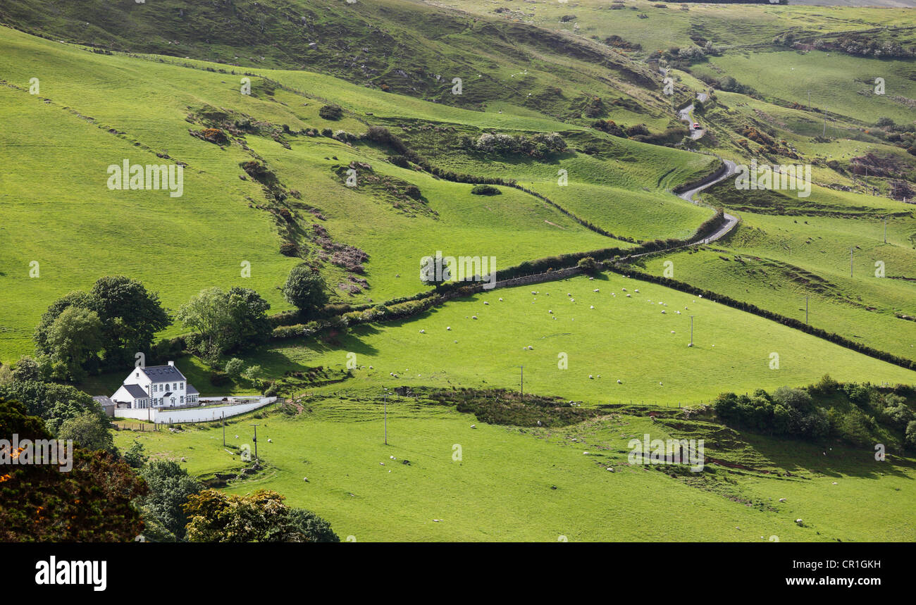 Torr Head Scenic Road near Cushendun, County Antrim, Northern Ireland, United Kingdom, Europe, PublicGround Stock Photo