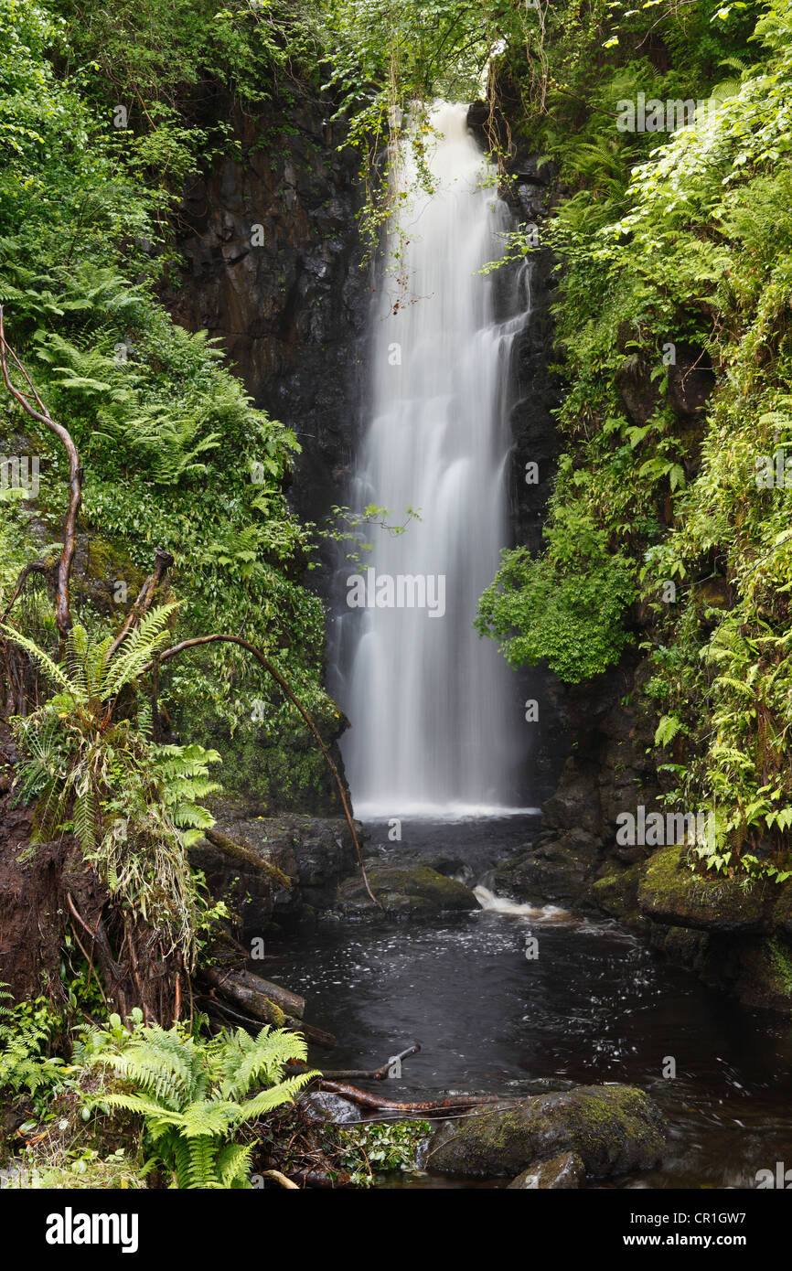 Cranny Falls near Carnlough, County Antrim, Northern Ireland, Great Britain, Europe, PublicGround Stock Photo