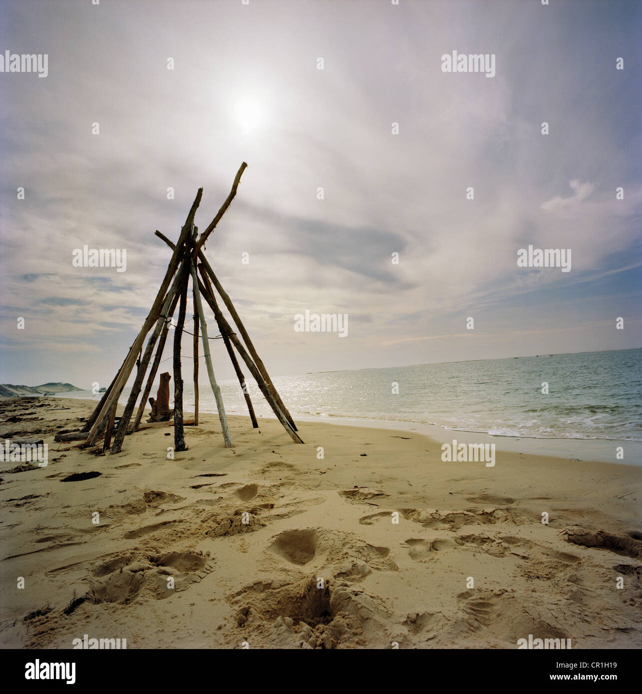 Log teepee on sandy beach Stock Photo