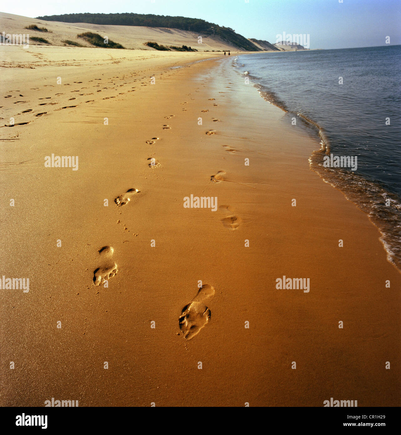 Footprints in sand on beach Stock Photo