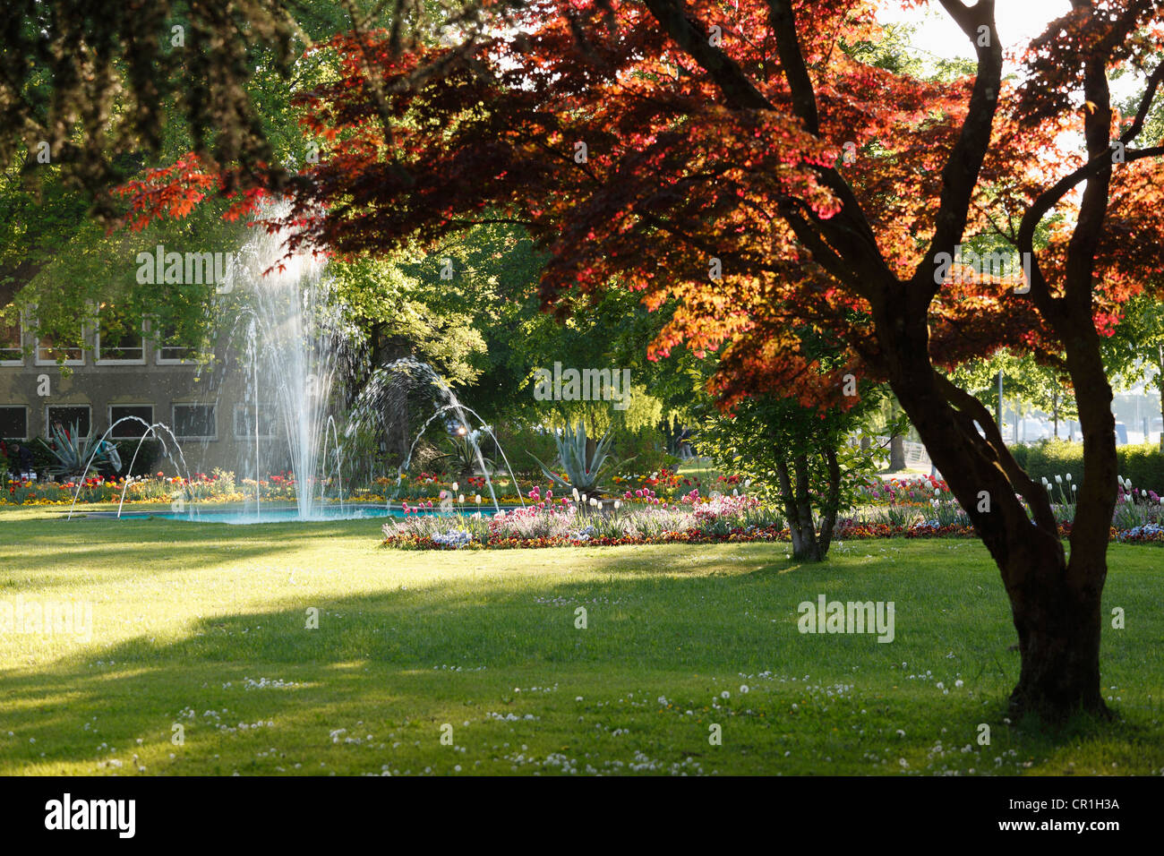 City gardens, Lindau on Lake Constance, Swabia, Bavaria, Germany, Europe, PublicGround Stock Photo