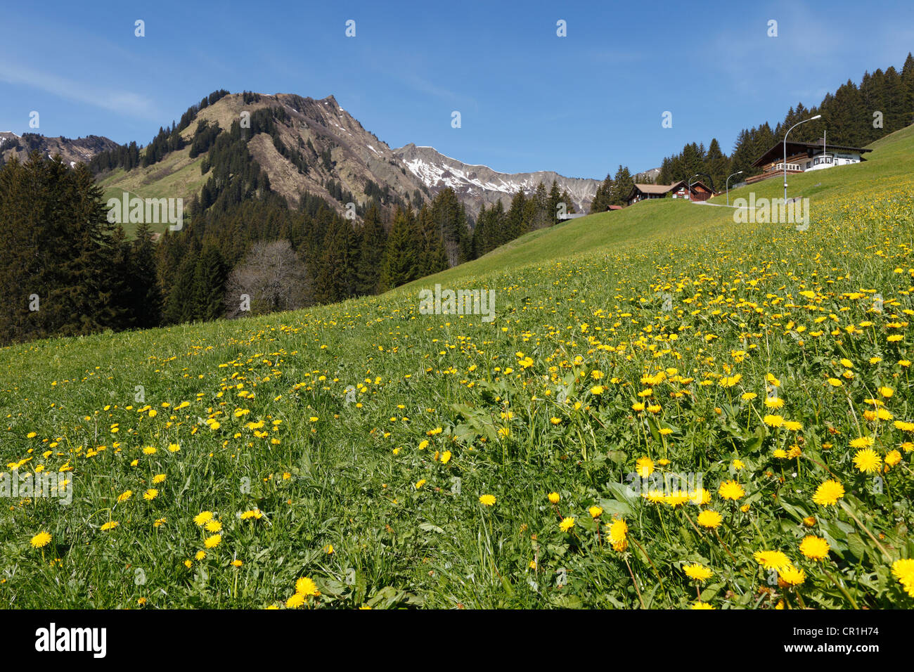 Mt. Unspitze and Starzelhaus lodge in Baad, Kleinwalsertal valley, Vorarlberg, Austria, Europe Stock Photo