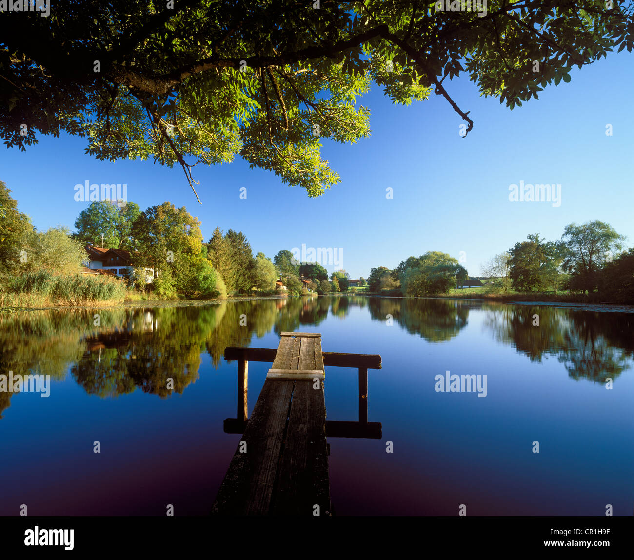 Degerndorfer Weiher, pond, Degerndorf, Muensing, Toelzer Land, Upper Bavaria, Bavaria, Germany, Europe Stock Photo