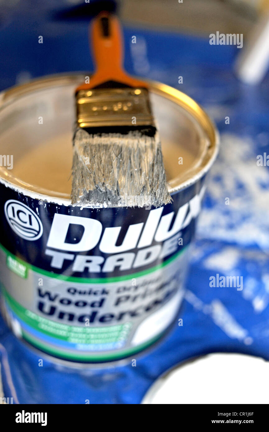 DIY at home Dulux Trade paint pot with paint brush Stock Photo Alamy