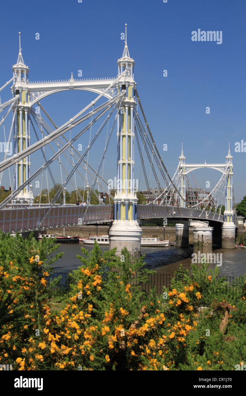 England London Battersea Albert bridge Stock Photo Alamy