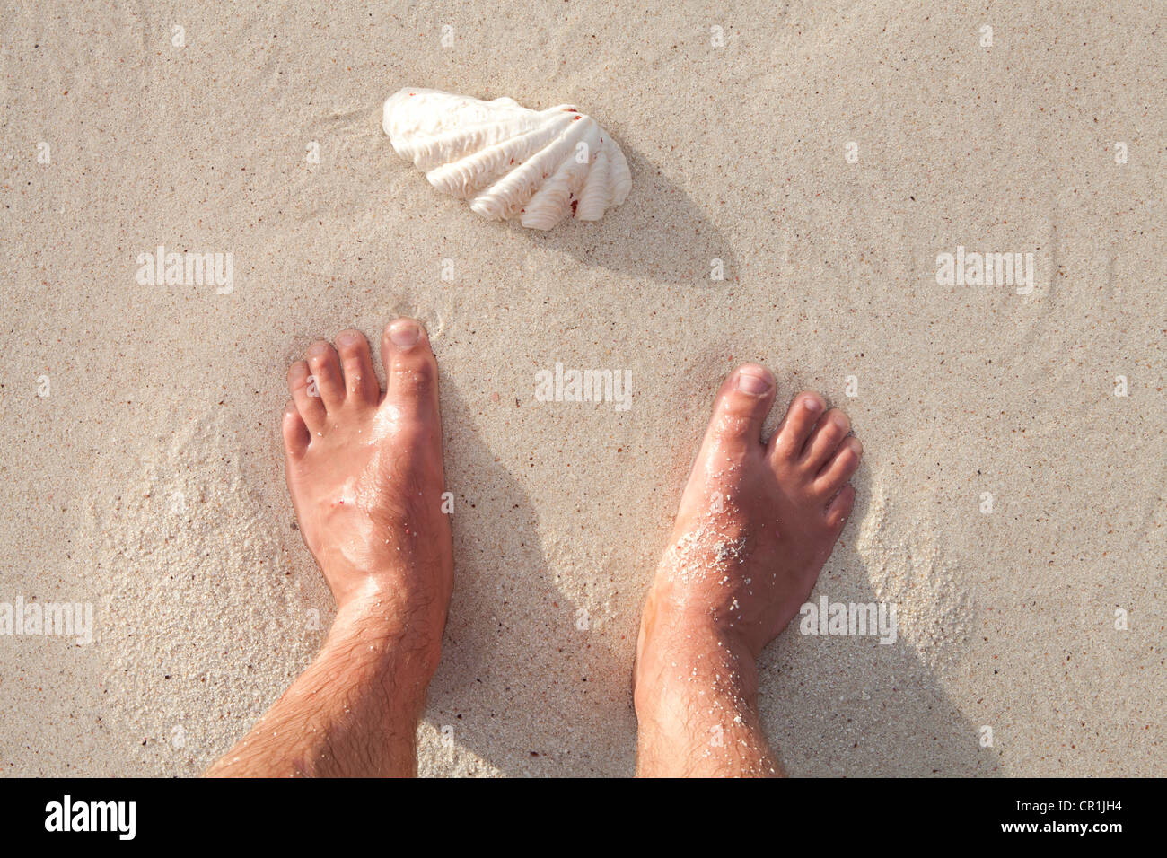 Coral washed up on the beach at Turquoise bay near Exmouth, Western