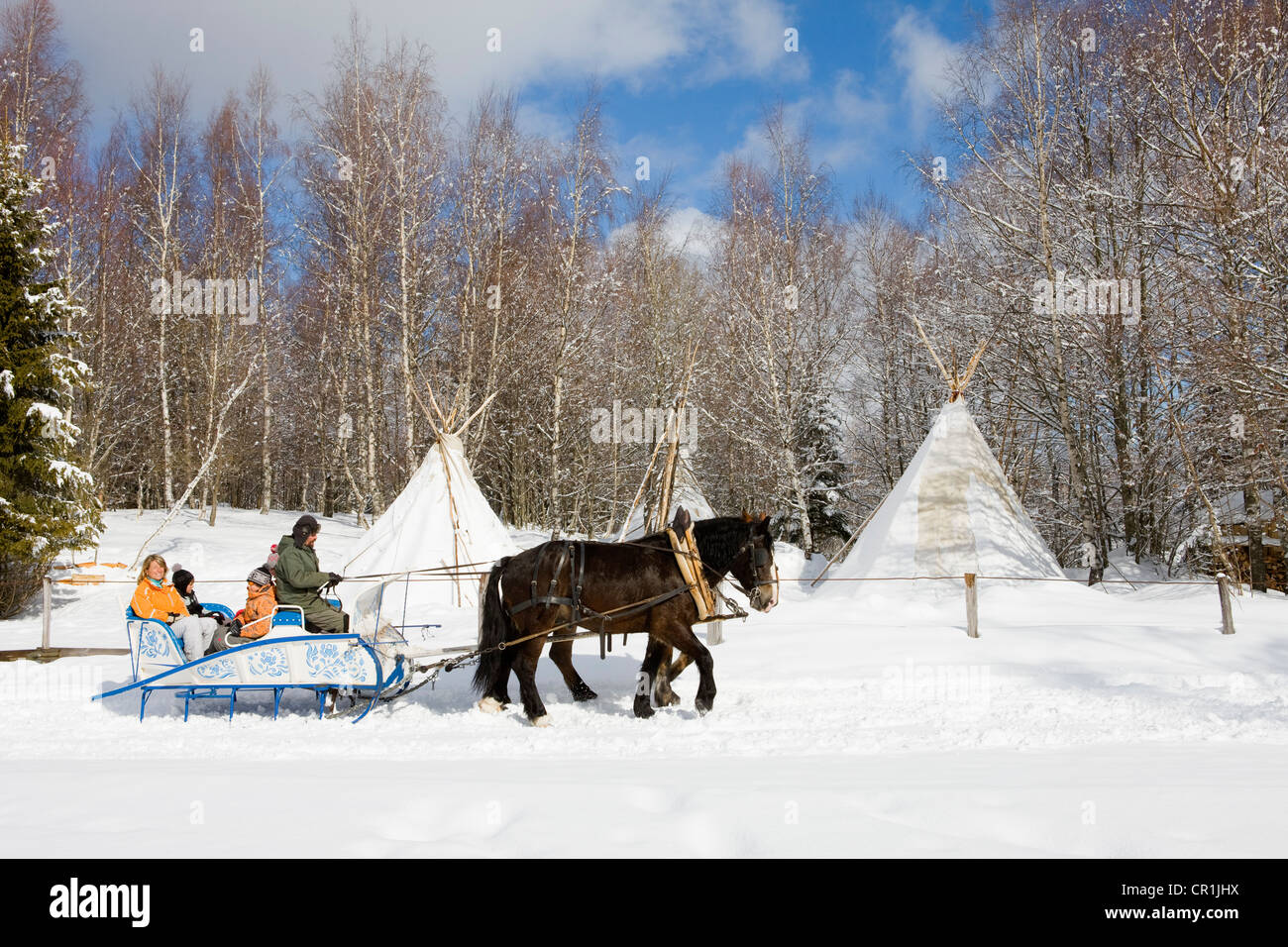 France, Savoie, la Feclaz, massif des Bauges, sleigh trip Stock Photo