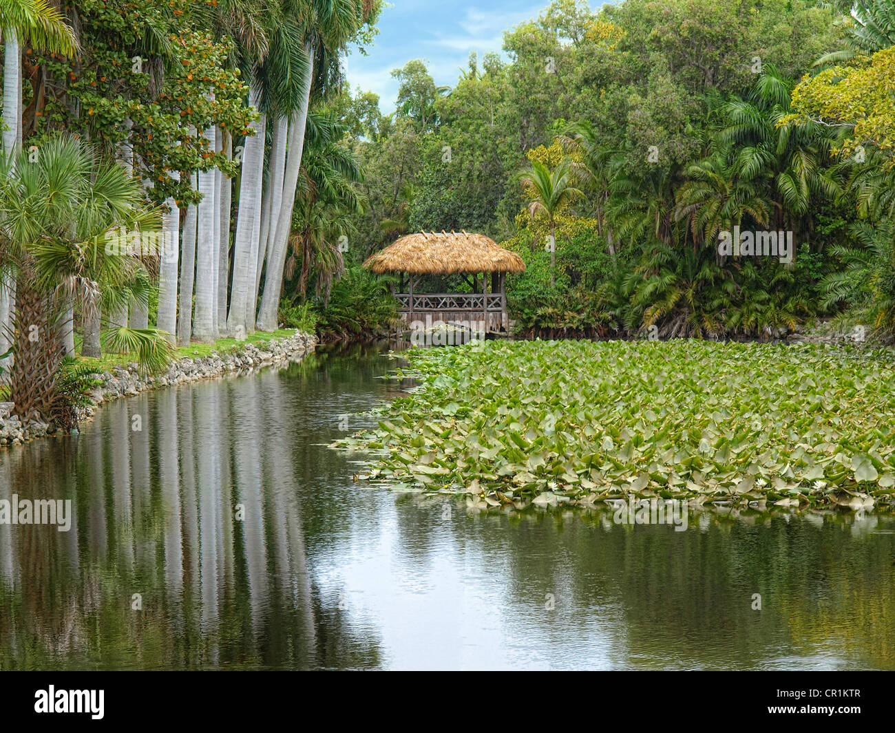 Royal park bridge florida hi-res stock photography and images - Alamy