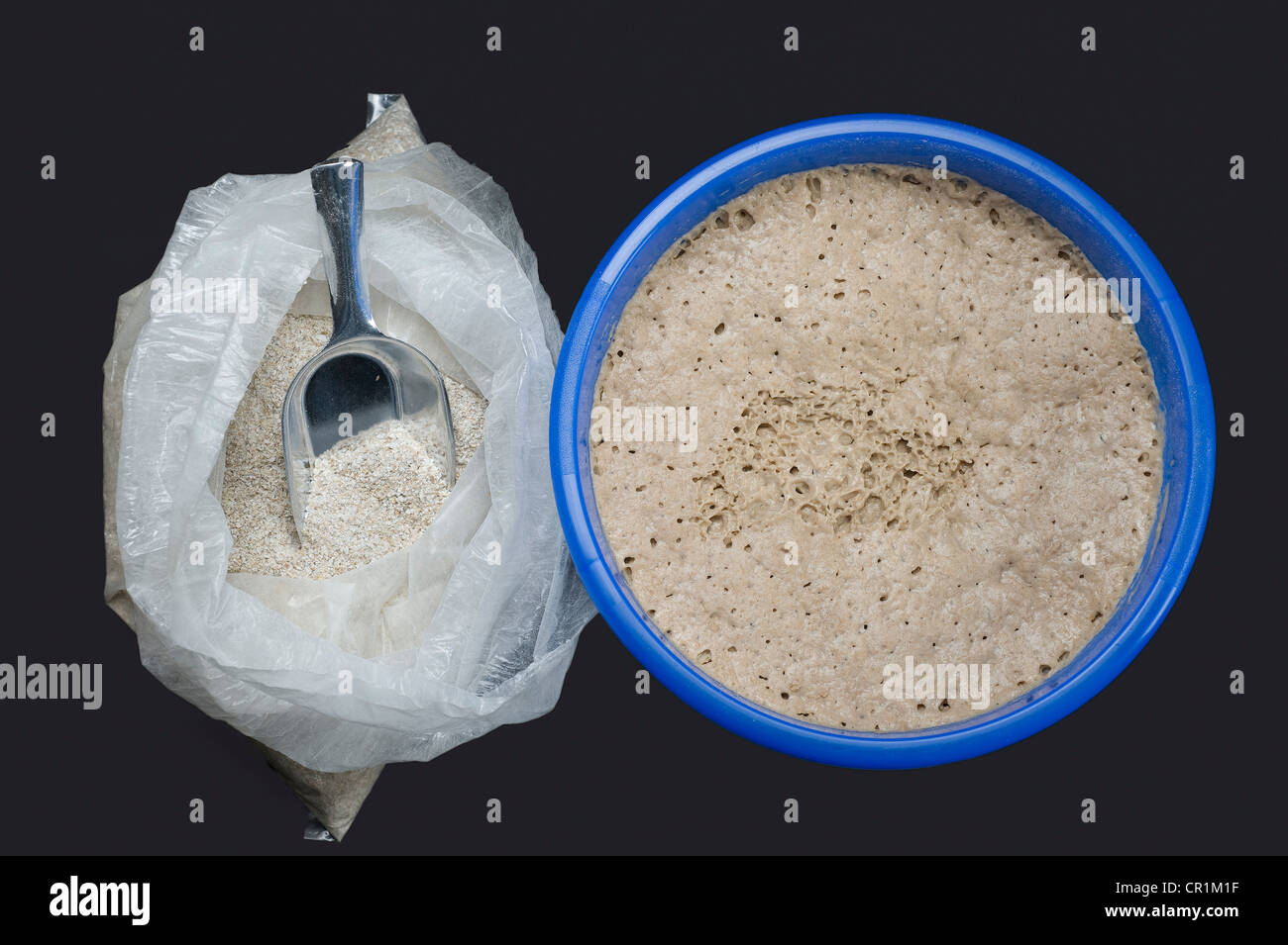 Rye sourdough with 100 hydration, bag of rye flour Stock Photo Alamy