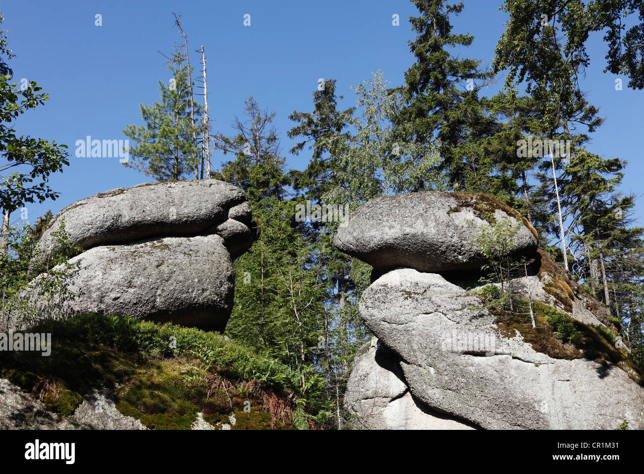Weissmainfelsen rock formation, Ochsenkopf mountain, Fichtelgebirge mountain range, Upper Franconia, Franconia, Bavaria Stock Photo