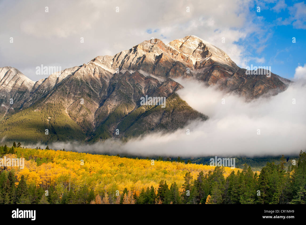 Pyramid mountain and fall aspen with fog-Jasper National Park, Alberta, Canada. Stock Photo