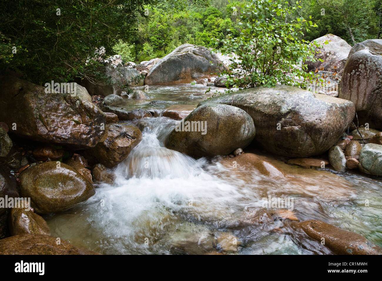 Colourful rocks in clear creek in the Spelunca Gorges, near the village of Ota, Corsica, France, Europe Stock Photo