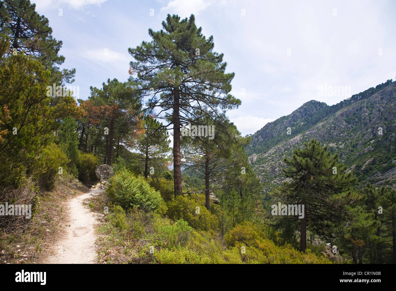 Hiking in Tavignano-Valley, Corsica, France, Europe Stock Photo